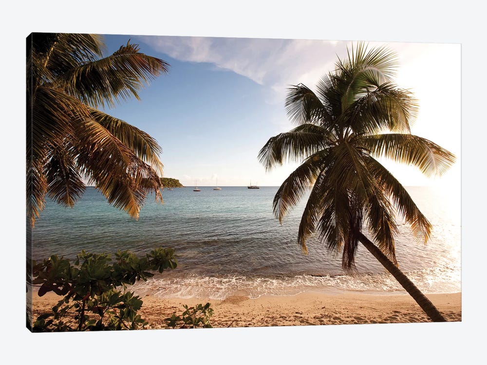 Palm Trees On Beach At Sunset, Culebra Island, Puerto Rico by Panoramic Images 1-piece Canvas Print