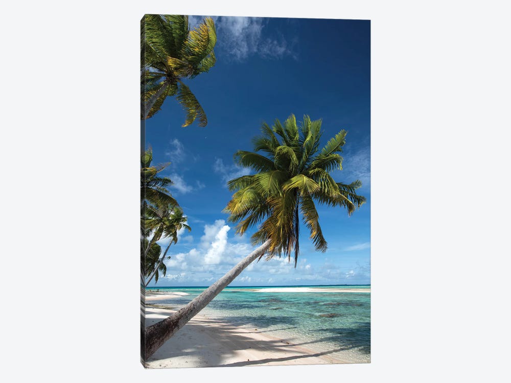 Palm Trees On The Beach, Bora Bora, Society Islands, French Polynesia I by Panoramic Images 1-piece Canvas Wall Art