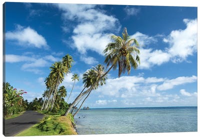 Palm Trees On The Beach, Bora Bora, Society Islands, French Polynesia II Canvas Art Print - French Polynesia Art