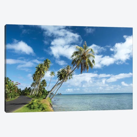Palm Trees On The Beach, Bora Bora, Society Islands, French Polynesia II Canvas Print #PIM14775} by Panoramic Images Canvas Art