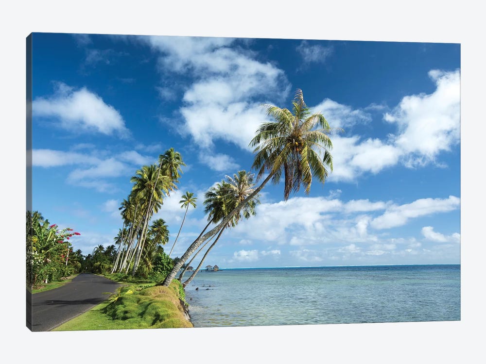 Palm Trees On The Beach, Bora Bora, Society Islands, French Polynesia II by Panoramic Images 1-piece Canvas Art Print