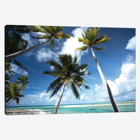 Palm Trees On The Beach, Bora Bora, Society Islands, French Polynesia III Canvas Print #PIM14776} by Panoramic Images Canvas Artwork