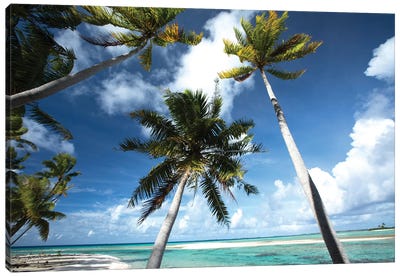 Palm Trees On The Beach, Bora Bora, Society Islands, French Polynesia III Canvas Art Print - Island Art