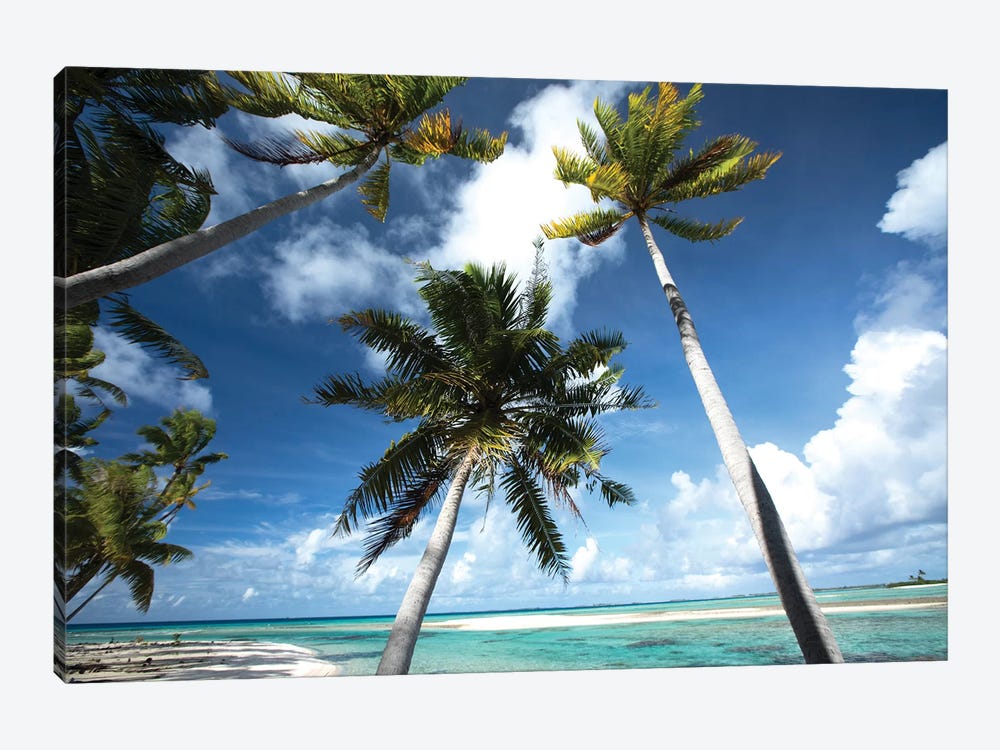 Palm Trees On The Beach, Bora Bora, Society Islands, French Polynesia III by Panoramic Images 1-piece Canvas Wall Art