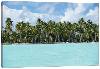 Palm Trees On The Beach, Bora Bora, Society Islands, French Polynesia IV Canvas Art Print - Island Art