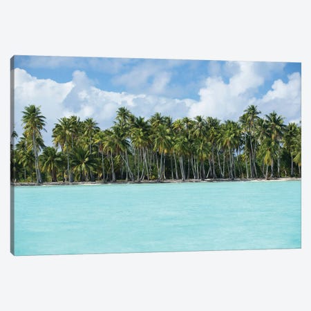 Palm Trees On The Beach, Bora Bora, Society Islands, French Polynesia IV Canvas Print #PIM14777} by Panoramic Images Canvas Art