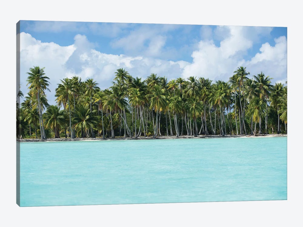 Palm Trees On The Beach, Bora Bora, Society Islands, French Polynesia IV by Panoramic Images 1-piece Canvas Print