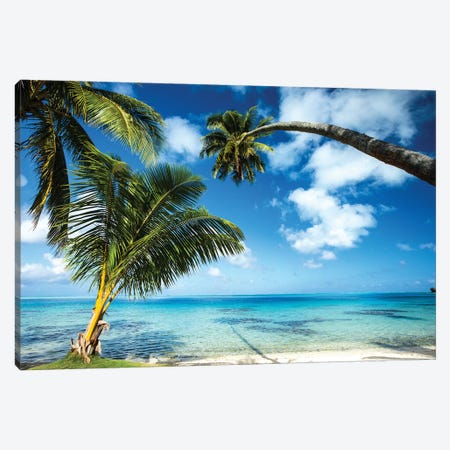 Palm Trees On The Beach, Bora Bora, Society Islands, French Polynesia V Canvas Print #PIM14778} by Panoramic Images Art Print