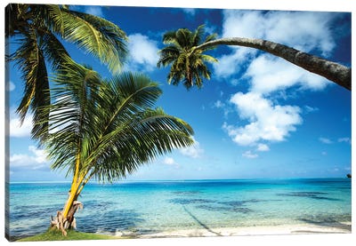 Palm Trees On The Beach, Bora Bora, Society Islands, French Polynesia V Canvas Art Print - French Polynesia Art