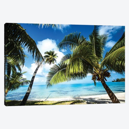 Palm Trees On The Beach, Bora Bora, Society Islands, French Polynesia VI Canvas Print #PIM14779} by Panoramic Images Canvas Print