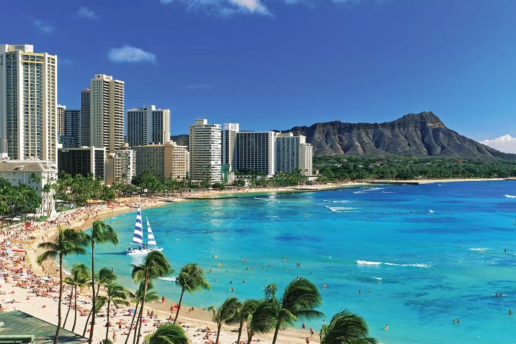 Palm Trees On The Beach, Diamond Head, Waikiki Beach, Oahu, Honolulu, Hawaii, USA