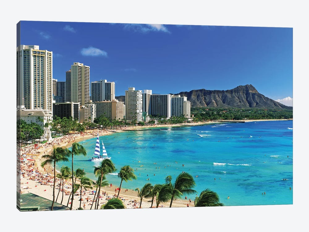 Palm Trees On The Beach, Diamond Head, Waikiki Beach, Oahu, Honolulu, Hawaii, USA by Panoramic Images 1-piece Art Print