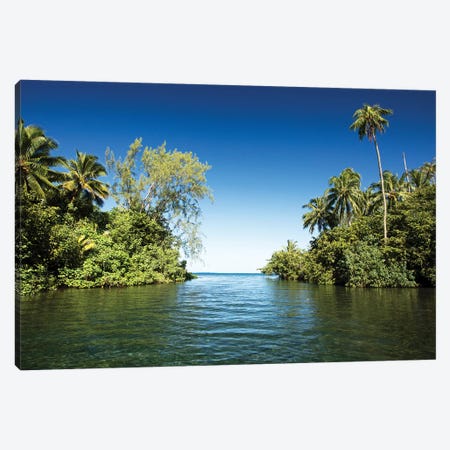 Palm Trees On The Coast, Moorea, Tahiti, French Polynesia Canvas Print #PIM14781} by Panoramic Images Canvas Art
