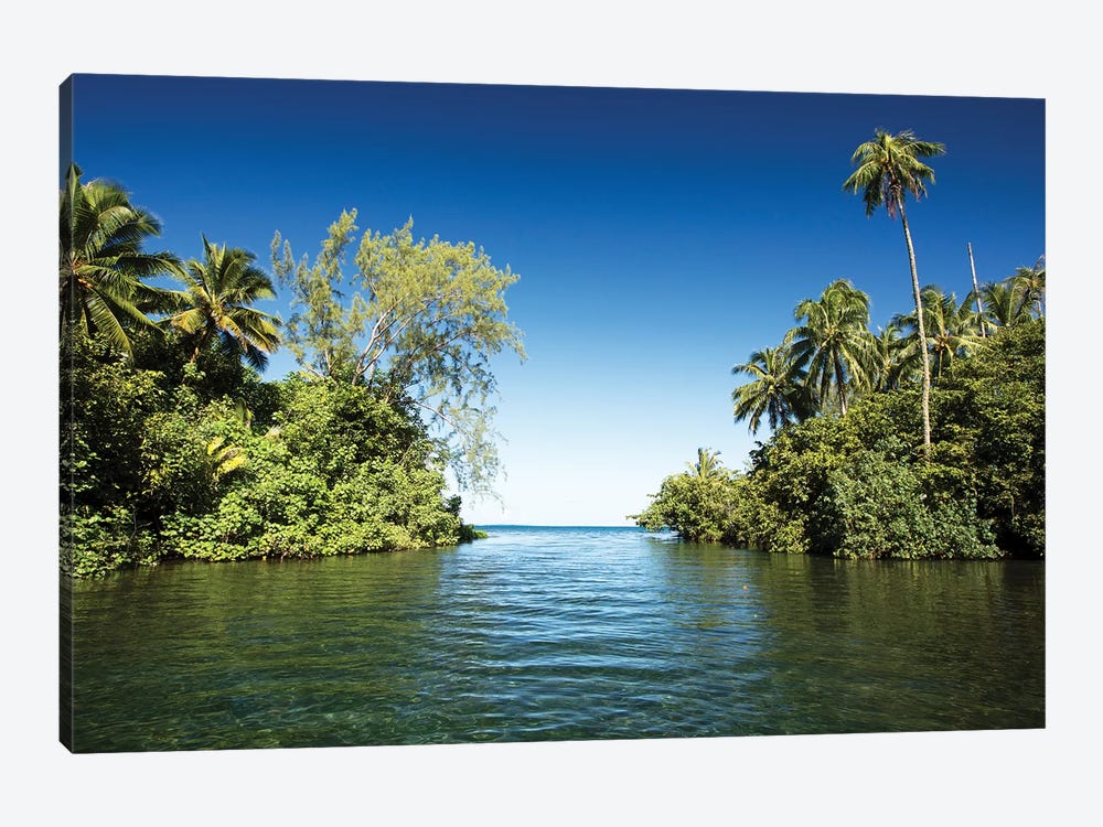 Palm Trees On The Coast, Moorea, Tahiti, French Polynesia by Panoramic Images 1-piece Canvas Wall Art
