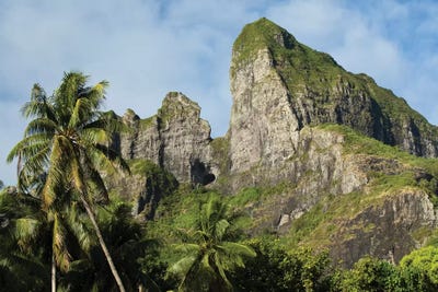 Palm Trees With Mountain Peak In The Background, Bora Bora, Society Islands, French Polynesia by Panoramic Images framed canvas print