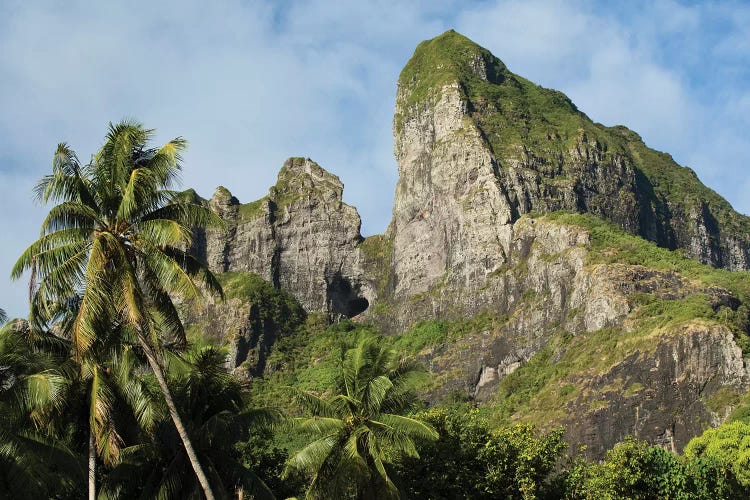 Palm Trees With Mountain Peak In The Background, Bora Bora, Society Islands, French Polynesia