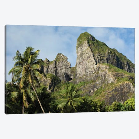 Palm Trees With Mountain Peak In The Background, Bora Bora, Society Islands, French Polynesia Canvas Print #PIM14782} by Panoramic Images Canvas Art