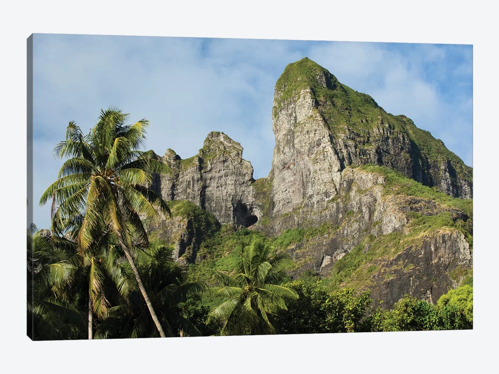 Palm Trees With Mountain Peak In The Background, Bora Bora, Society Islands, French Polynesia by Panoramic Images 1-piece Art Print