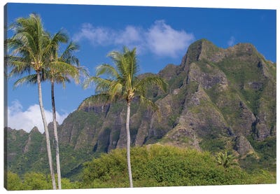 Palm Trees With Mountain Range In The Background, Tahiti, French Polynesia I Canvas Art Print - French Polynesia Art