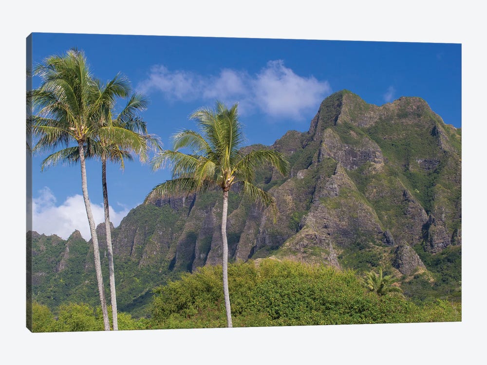 Palm Trees With Mountain Range In The Background, Tahiti, French Polynesia I by Panoramic Images 1-piece Canvas Wall Art
