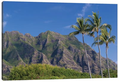 Palm Trees With Mountain Range In The Background, Tahiti, French Polynesia II Canvas Art Print - French Polynesia Art