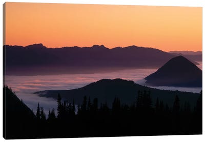 Foggy Mountainscape, Mount Rainier National Park, Washington, USA Canvas Art Print - Mount Rainier National Park Art