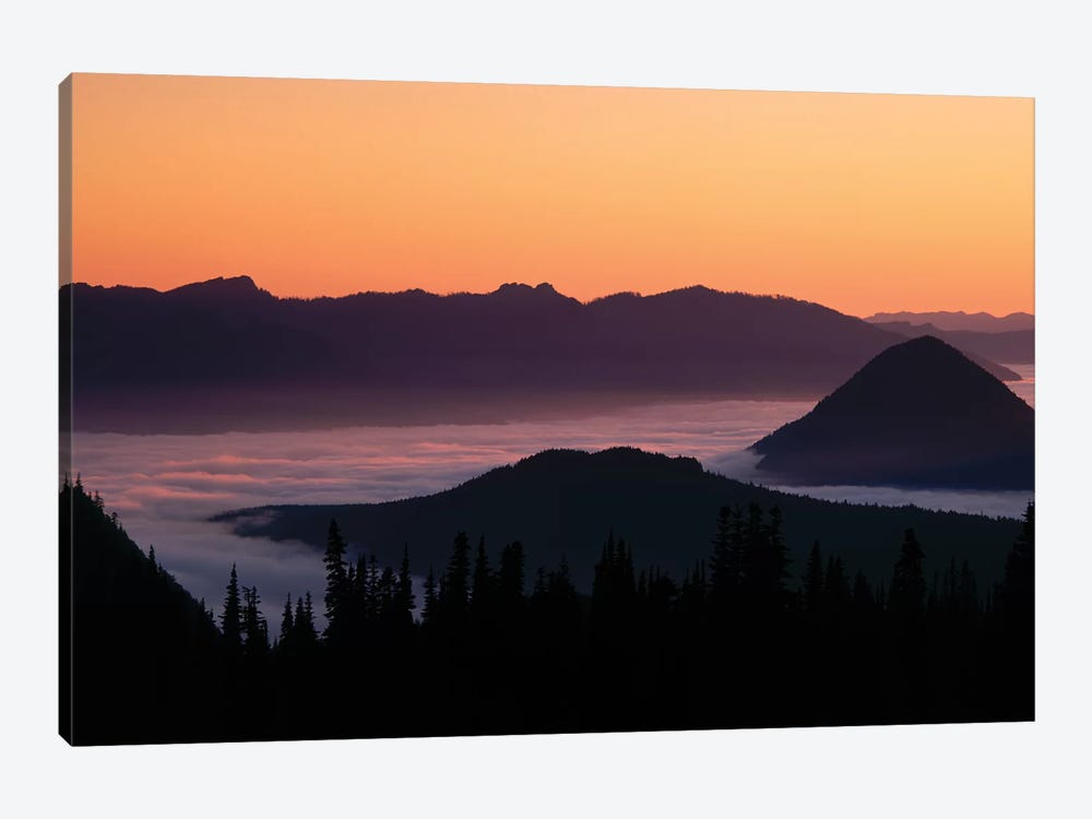 Foggy Mountainscape, Mount Rainier National Park, Washington, USA by Panoramic Images 1-piece Canvas Art