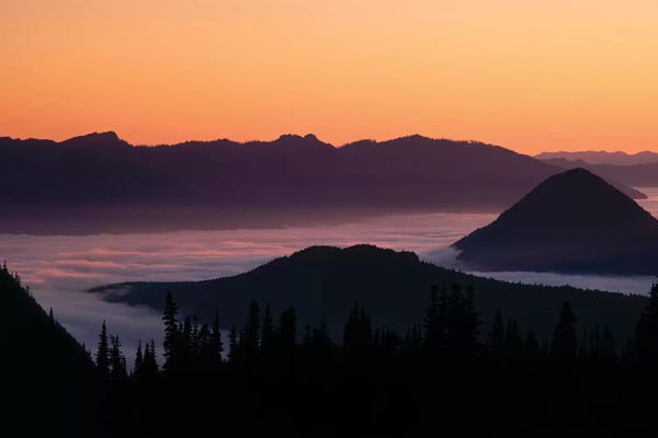 Mount Rainier National Park: Foggy Mountainscape, Mount Rainier National Park, Washington, USA by Panoramic Images