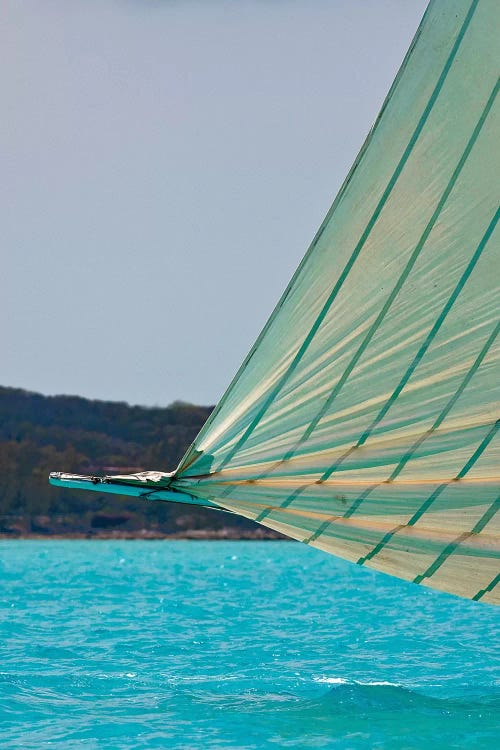 Racing Sloop At The Annual National Family Island Regatta, Georgetown, Great Exuma Island, Bahamas III