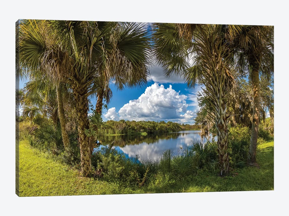 Reflection Of Clouds On Water, Deer Prairie Creek Preserve, Venice, Sarasota County, Florida, USA by Panoramic Images 1-piece Canvas Wall Art
