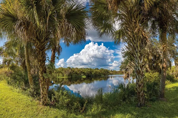 Reflection Of Clouds On Water, Deer Prairie Creek Preserve, Venice, Sarasota County, Florida, USA