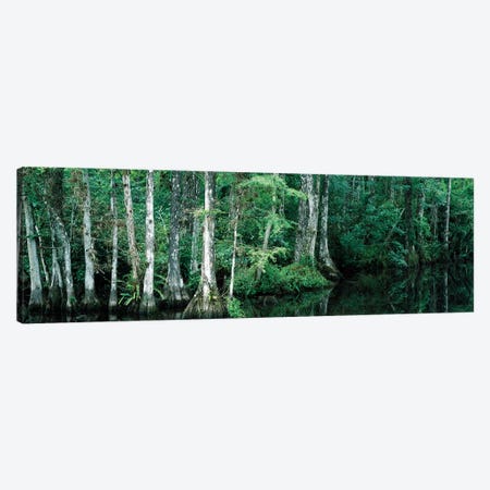Reflection Of Trees In A Pond, Big Cypress National Preserve, Florida, USA Canvas Print #PIM14826} by Panoramic Images Canvas Artwork