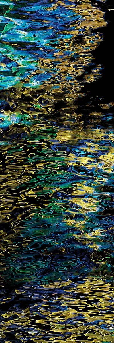 Reflection, Seattle, Washington State, USA I by Panoramic Images canvas print