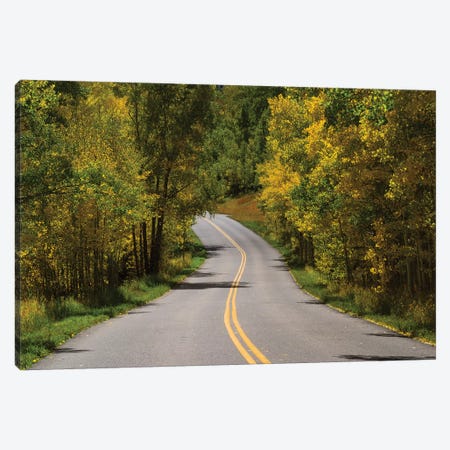 Road Passing Through A Forest, Maroon Bells, Maroon Creek Valley, Aspen, Pitkin County, Colorado, USA I Canvas Print #PIM14837} by Panoramic Images Canvas Art Print