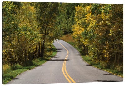 Road Passing Through A Forest, Maroon Bells, Maroon Creek Valley, Aspen, Pitkin County, Colorado, USA I Canvas Art Print - Colorado Art