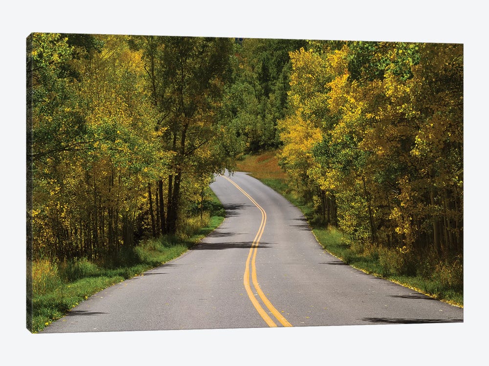 Road Passing Through A Forest, Maroon Bells, Maroon Creek Valley, Aspen, Pitkin County, Colorado, USA I by Panoramic Images 1-piece Canvas Art Print