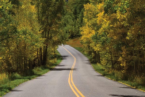 Road Passing Through A Forest I, Maroon Bells, Maroon Creek Valley, Aspen, Pitkin County, Colorado, USA