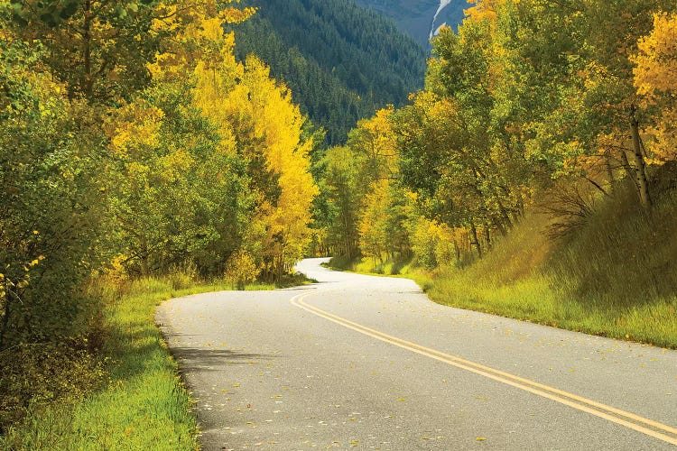 Road Passing Through A Forest, Maroon Bells, Maroon Creek Valley, Aspen, Pitkin County, Colorado, USA II by Panoramic Images wall art