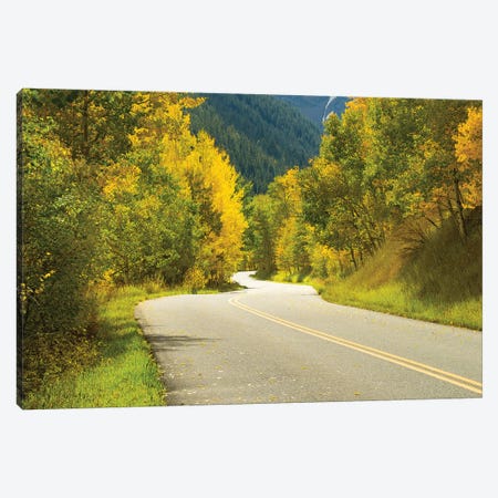 Road Passing Through A Forest, Maroon Bells, Maroon Creek Valley, Aspen, Pitkin County, Colorado, USA II Canvas Print #PIM14838} by Panoramic Images Canvas Art