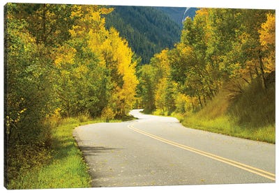Road Passing Through A Forest, Maroon Bells, Maroon Creek Valley, Aspen, Pitkin County, Colorado, USA II Canvas Art Print