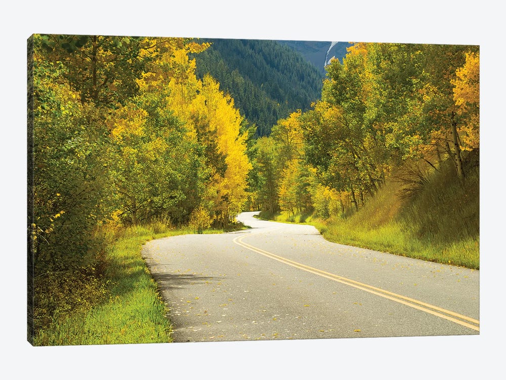 Road Passing Through A Forest, Maroon Bells, Maroon Creek Valley, Aspen, Pitkin County, Colorado, USA II by Panoramic Images 1-piece Canvas Artwork
