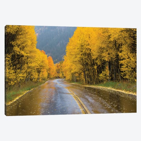 Road Passing Through A Forest, Maroon Bells, Maroon Creek Valley, Aspen, Pitkin County, Colorado, USA III Canvas Print #PIM14839} by Panoramic Images Canvas Art