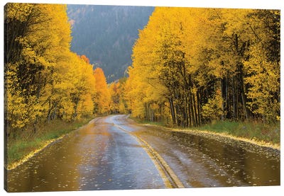 Road Passing Through A Forest, Maroon Bells, Maroon Creek Valley, Aspen, Pitkin County, Colorado, USA III Canvas Art Print