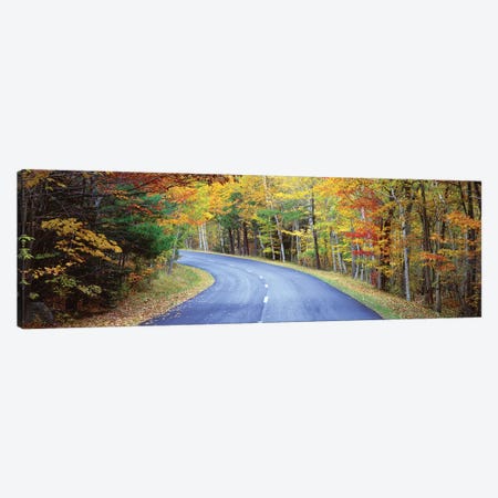 Road Passing Through A Forest, Park Loop Road, Acadia National Park, Maine, USA Canvas Print #PIM14840} by Panoramic Images Canvas Print