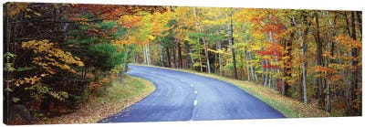 Road Passing Through A Forest, Park Loop Road, Acadia National Park, Maine, USA Canvas Art Print - Acadia National Park Art