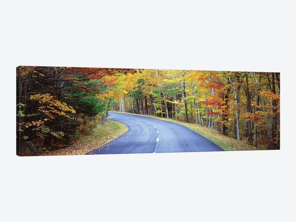 Road Passing Through A Forest, Park Loop Road, Acadia National Park, Maine, USA by Panoramic Images 1-piece Art Print