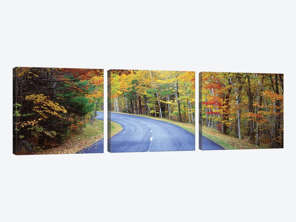 Road Passing Through A Forest, Park Loop Road, Acadia National Park, Maine, USA by Panoramic Images 3-piece Art Print