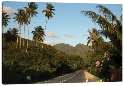 Road With Mountain Peak In The Background, Moorea, Tahiti, French Polynesia II Canvas Art Print - French Polynesia Art