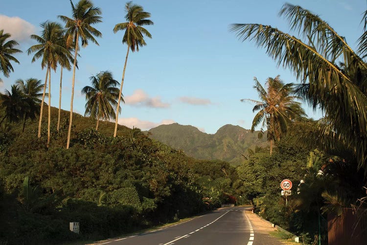 Road With Mountain Peak In The Background, Moorea, Tahiti, French Polynesia II