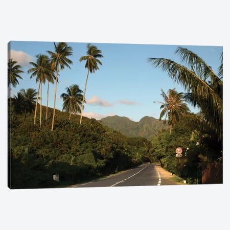 Road With Mountain Peak In The Background, Moorea, Tahiti, French Polynesia II Canvas Print #PIM14846} by Panoramic Images Canvas Art